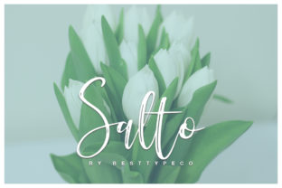 Salto: A Script Font That Offers Authenticity and Versatility