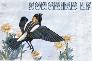 Songbird LF