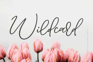 Wildcard Font Adds Romance to Design